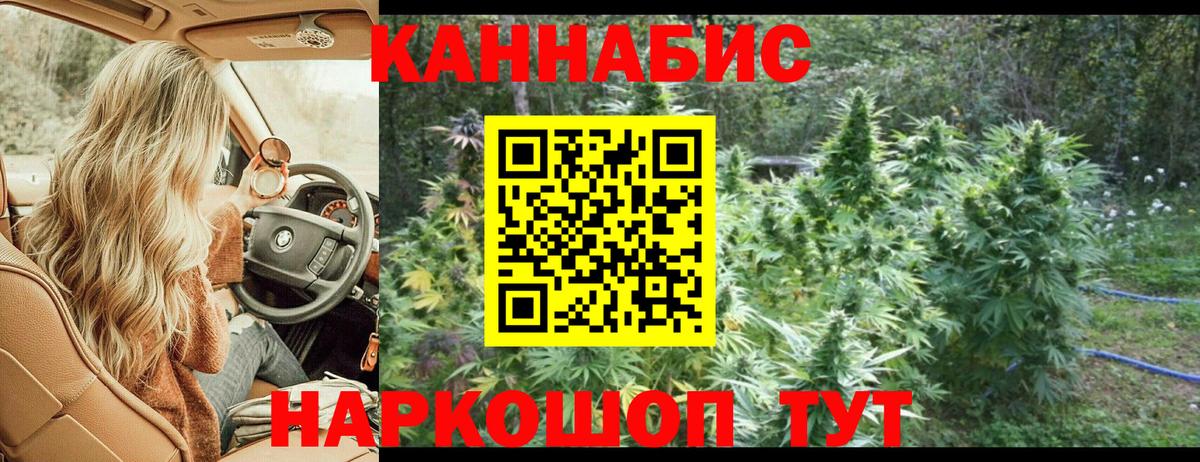 Бошки марихуана THC 21% Вологда